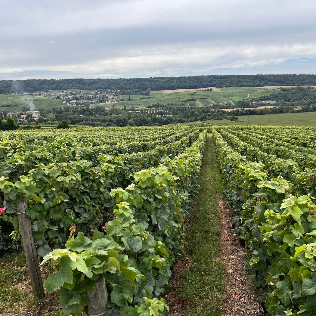 Wine Tours Paris 2